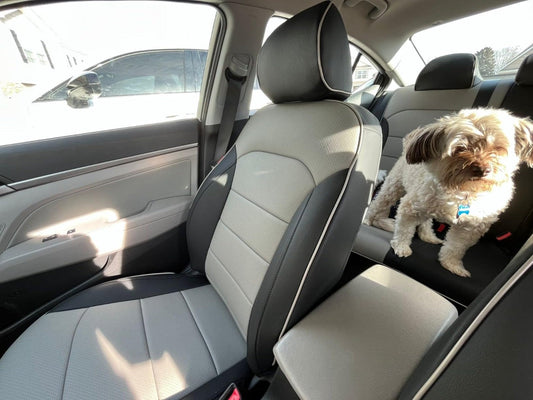 Front passenger seat in Hyundai Elantra covered with custom light gray and black artificial nappa leather seat covers, small dog in rear seat